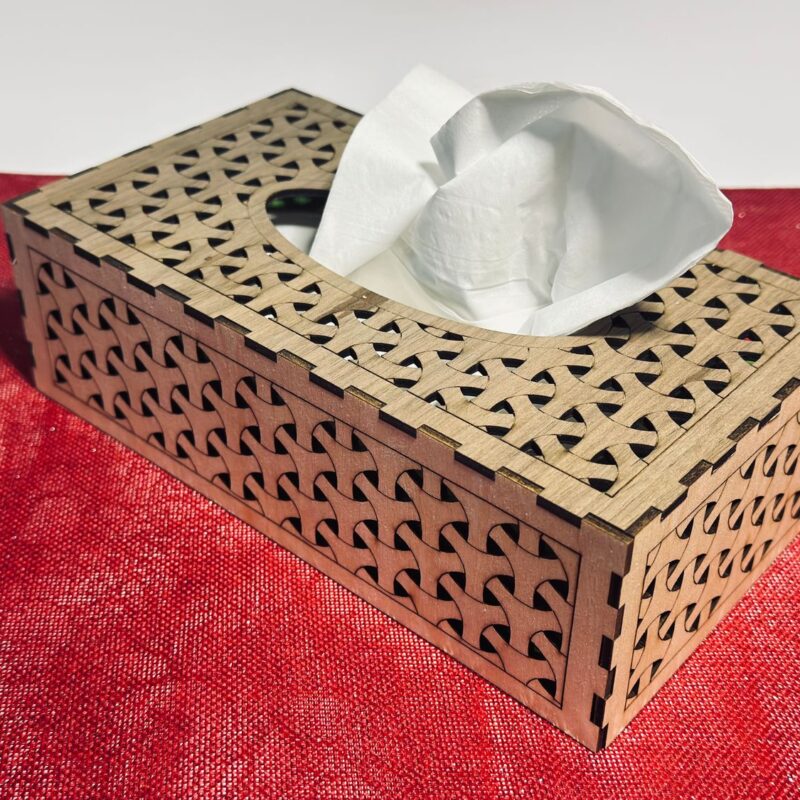 Cache boîte Kleenex